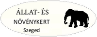 Pocket Stamp Oval 30